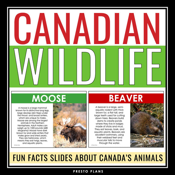 Canadian Animals Presentation - Wildlife in Canada Introduction or ESL Lesson