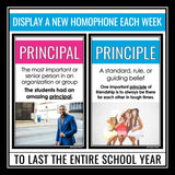 Homophone Posters - Weekly Classroom Bulletin Board Decor - Grammar Posters